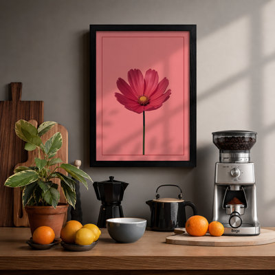 Cosmos Bloom Botanical - Framed Print