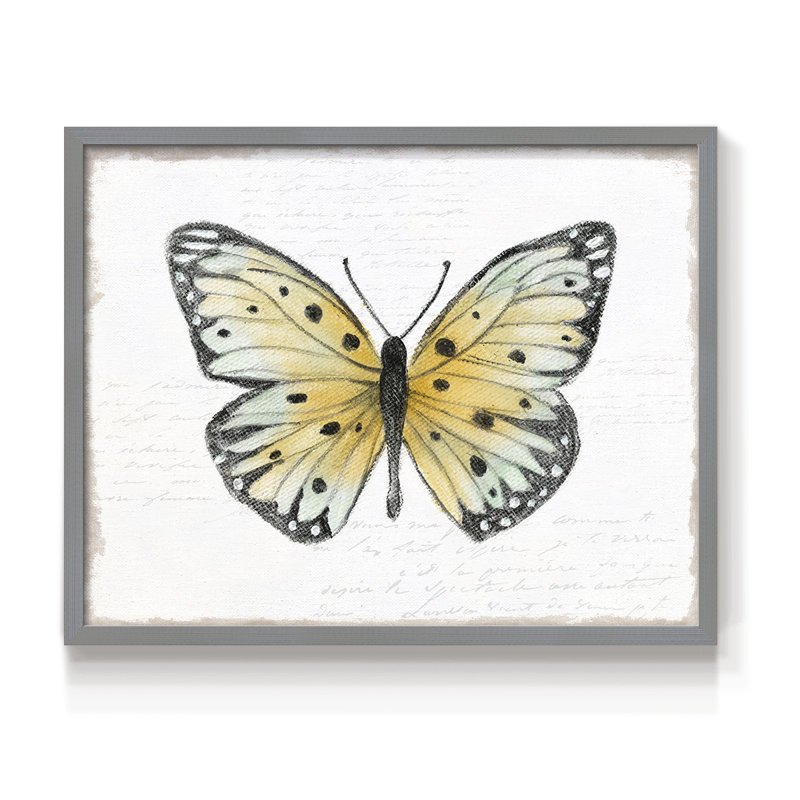 Vintage Flutter I -Framed Print - Restickable, H 16 po x l 20 po, Gris