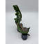 Figurine iguane sur branche