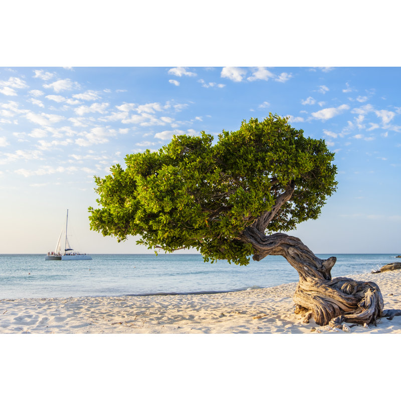 Eagle Beach by Flavio Vallenari - No Frame Print on Canvas, 51cm H x 76cm W