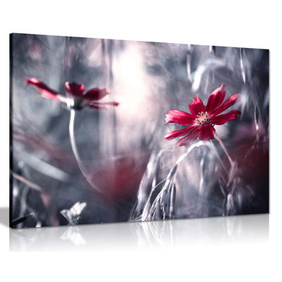 Daisy Flower Reflection - Wrapped Canvas Print