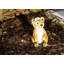 Interlochen Animals Resin Garden Statue