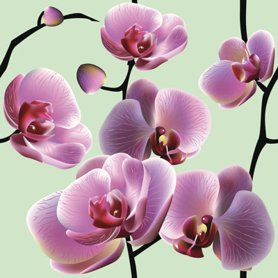 Orchid Flowers - Wrapped Canvas Print