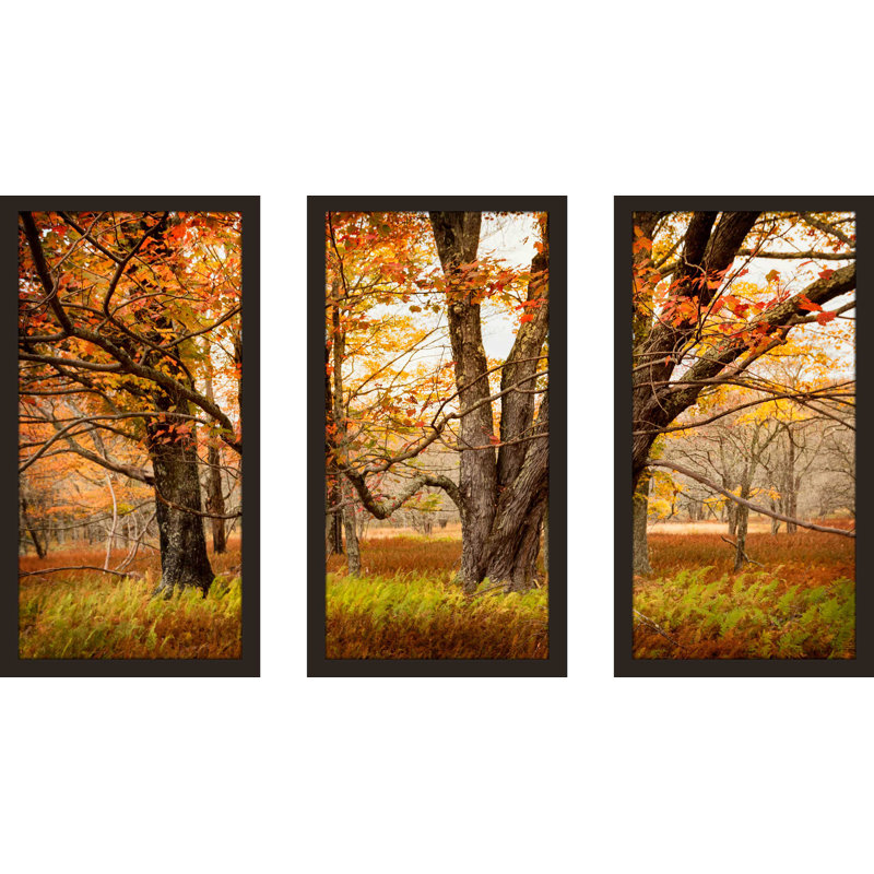«Crossing Paths» par Andy Amos - ensemble de 3 reproductions de photos encadrées, L 52,5 po x H 33,5 po x P 1 po