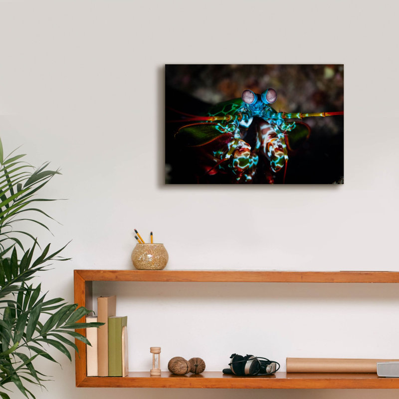 «Peacock Mantis Shrimp» par Epic Portfolio, art mural sur toile, H 12 po x l 18 po x P 0,75 po