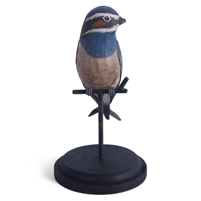 Treeswift Whiskered