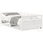 Rezo Solid Wood Daybed-1824206856-1824206859