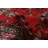 Anzaldua Red Rug 3'6" x 6'11"