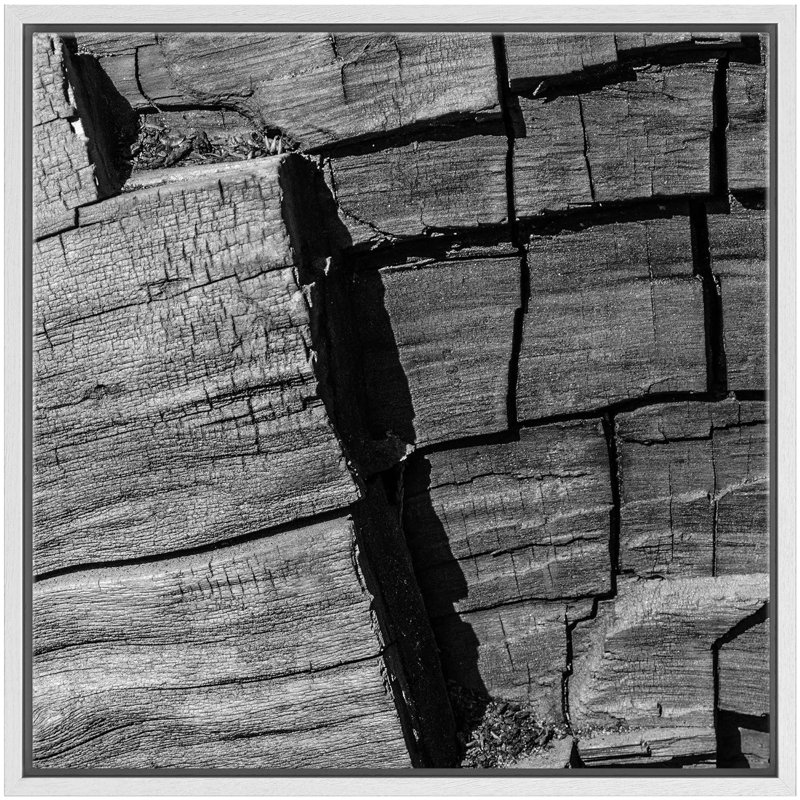 «Vintage Drift Wood Grain Tree Bark Nature Plants», photographie, rustique, gros plan, noir et blanc foncé, impression sur toile