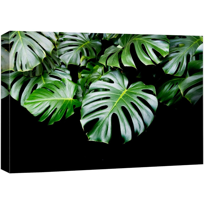 «Dark Tropical Island Jungle Monstera Leaf» sur, H 16 po x l 24 po