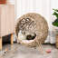 20.5" Elevated Woven Cat Basket, Beige And Ventilated For Pets With A Soft Cushion Inside