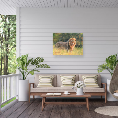 Toile pour l'extérieur David