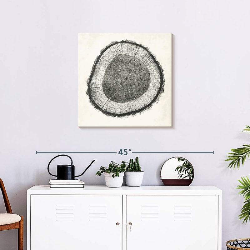 Tree Ring II, 24" H x 24" W