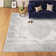 Ferrara Oriental Indoor Rug