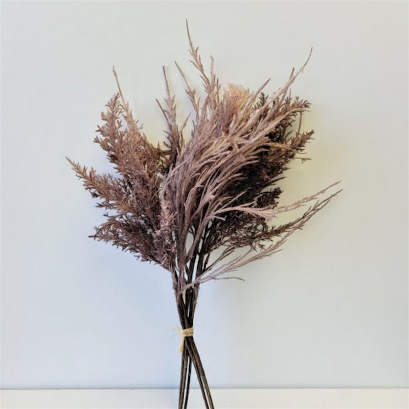 Herbe de pampas artificielle, Brun