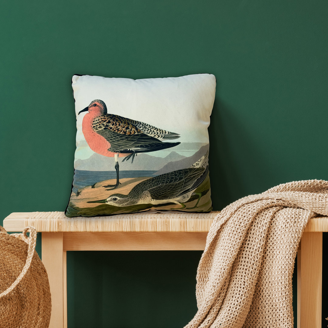 John James Audubon  Red breasted sandpiper cushion 40x40cms