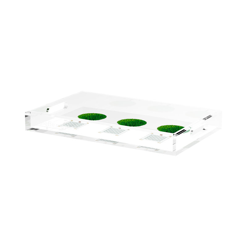 Timothy Corrigan Topiary Acrylic Rectangle Decorative Tray, 17"W x 10.5"D x 2"H