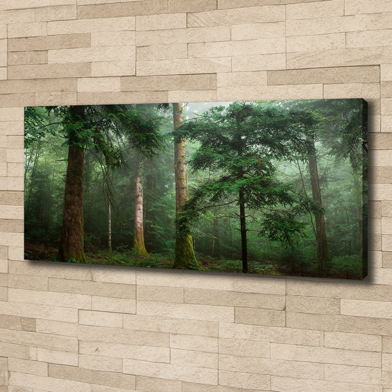 Fog In The Forest - Wrapped Canvas Print