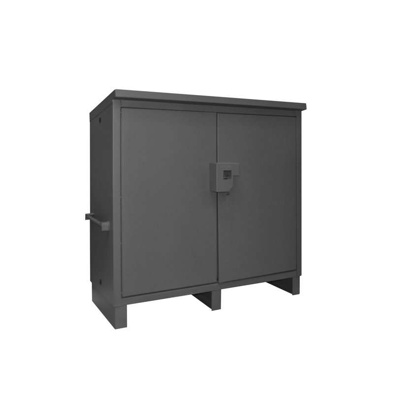 Single Storage Cabinet ( 60'' H x 60'' W x 24'' D)