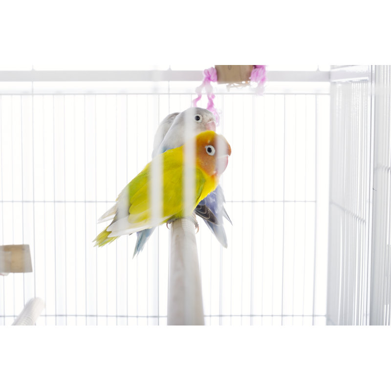 Chalk White 59.25'' Steel Flight Bird Cage with Stand