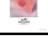 Picture Frame Print on