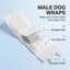 Dog Diaper