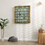 Glass 80 cm W Display Cabinet