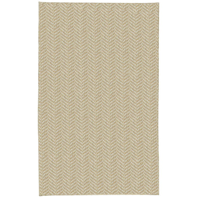 Paige Chevron Indoor Rug