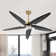 Chanille 5-Blade Solid Wood Ceiling Fan with LED Light and Remote Control