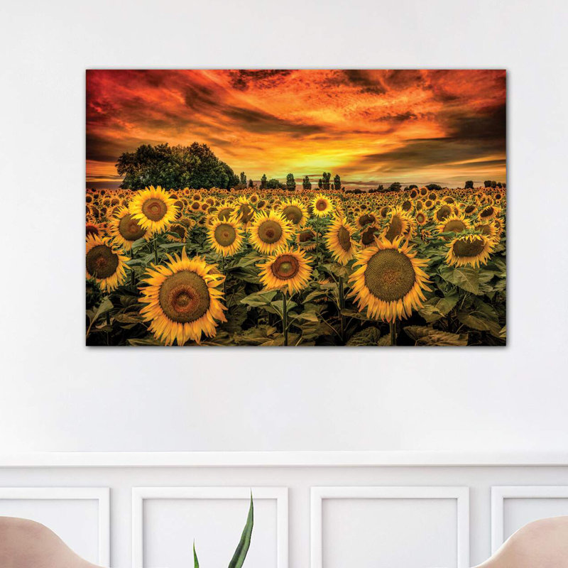 Tuscany Sunflowers Field by Marco Carmassi - Wrapped Canvas Print, 101.6 cm H x 66.04 cm W x 1.91 cm D