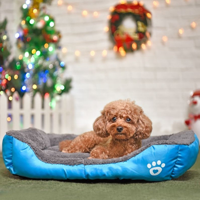 Lit pour chien Goncalves, Bleu / gris, Très grand (l 37,4 po x P 30 po x H 3 po)