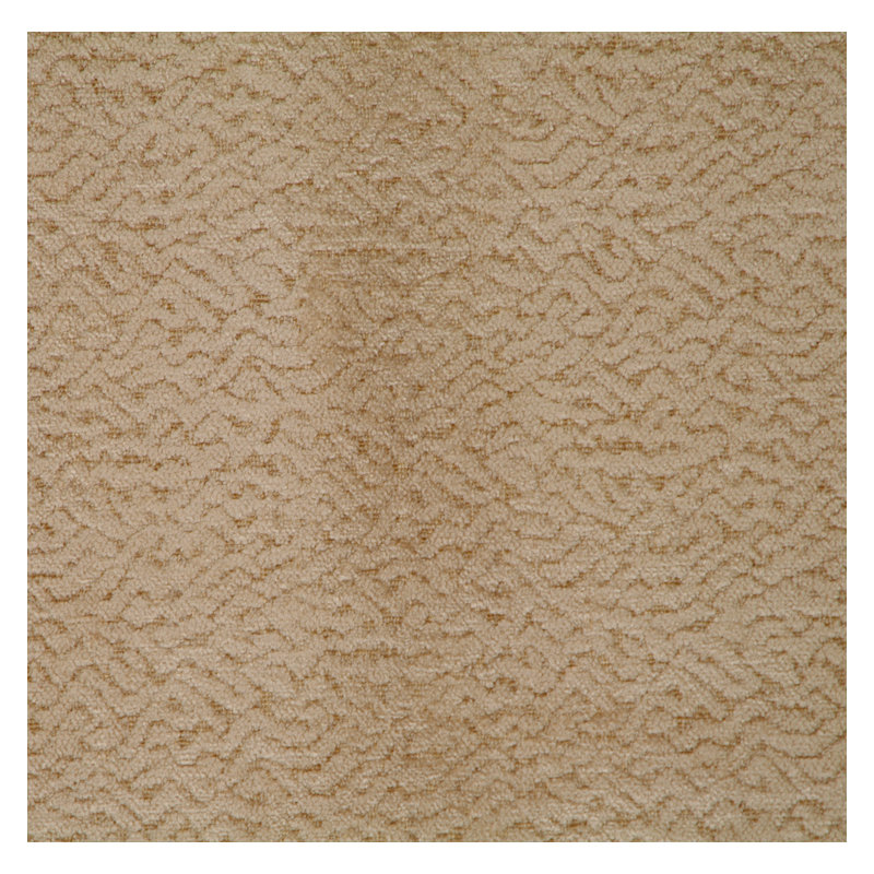 Allure Fabric