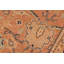 Tapis oriental rose en laine noué à la main 6 pi x 9 pi 3 po Baccio