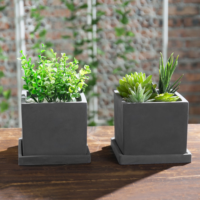 Pot Planter