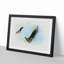 Pair of Flying Seagulls in Abstract - Picture Frame Graphic Art Print-55735422-55735428
