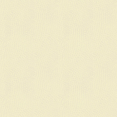 Contract Fabric