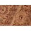 Tapis oriental brun en laine noué à la main 6 pi x 8 pi 10 po Baccio