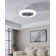 Antiope Ceiling Fan with Light Kit