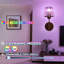 Armed Sconce-1309336359