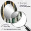 Miroir mural ovale doré et vert-424860705