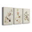 Pl. «194 Canadian Titmouse», ensemble de 3 impressions sur toile tendue-194814097