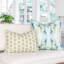 Wintergreen 22x22 Throw Pillow