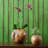 Wood Decorative Bowl-117276761
