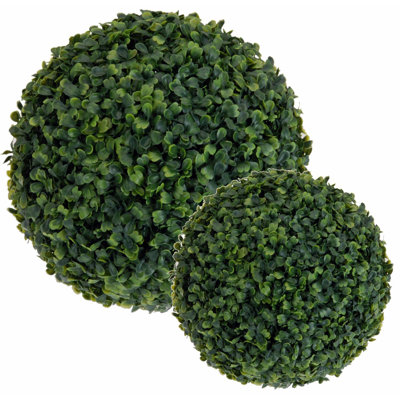 Boxwood Grass