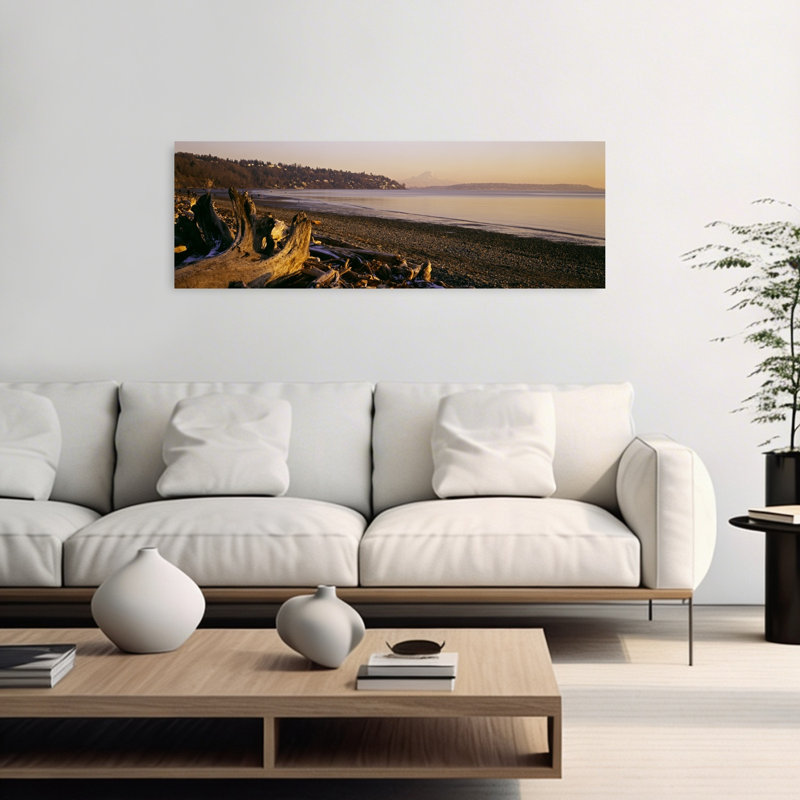Bois flottant sur la plage, parc de découverte, Mont Rainier, Seattle, comté de King, Washington State, États-Unis
