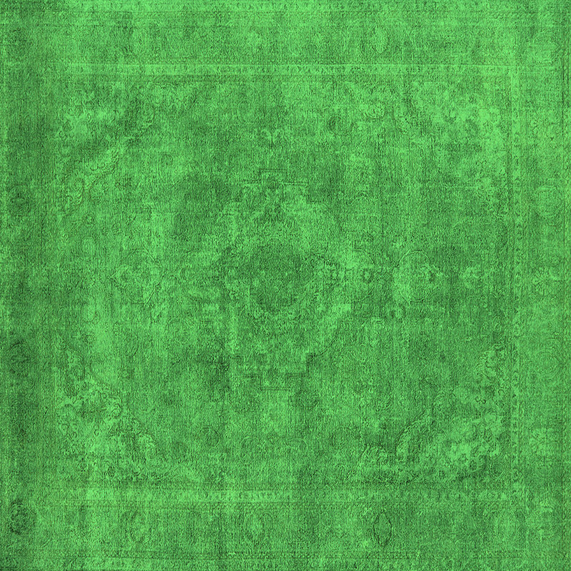 Erikc Washable Oriental Indoor Rug, Square 4'