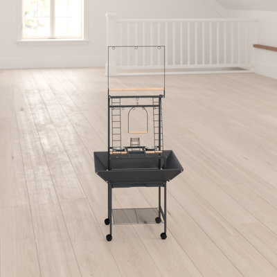 Banc de jeu Heyward Parrot