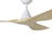 Takoya Ceiling Fan-1968150648-1968150653-1973041777