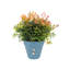 Pot Planter-37904909-127113574