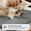Laurier Pet Bed